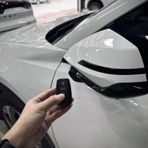 Guong Dien Vinfast Limo Green 2